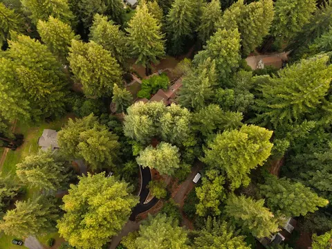 View/Area - 295 Jims Rd, Ben Lomond, CA 95005 photo 1 of 1