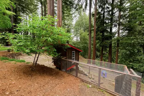 Exterior - 295 Jims Rd, Ben Lomond, CA 95005 photo 32 of 48