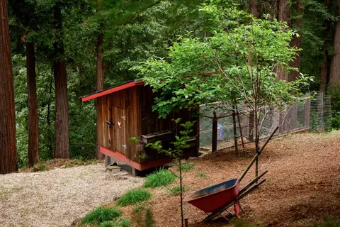 Exterior - 295 Jims Rd, Ben Lomond, CA 95005 photo 30 of 48