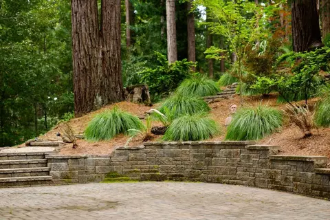Exterior - 295 Jims Rd, Ben Lomond, CA 95005 photo 42 of 48
