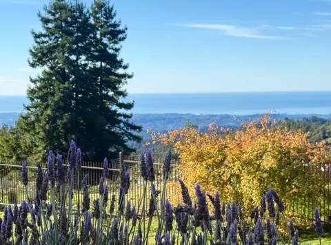 View/Area - 1061 Summit Rd, Watsonville, CA 95076 photo 3 of 16