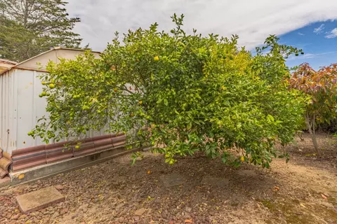 Exterior - 15084 Green Oak Pl, Salinas, CA 93907 photo 7 of 8