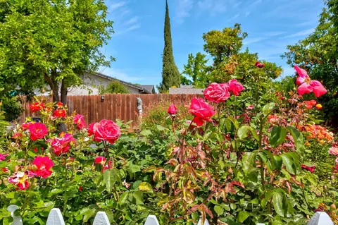 Exterior - 7685 Los Padres Ct, Gilroy, CA 95020 photo 18 of 19