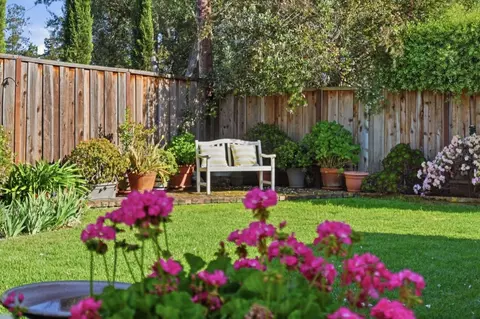 Exterior - 1763 Walnut Dr, Mountain View, CA 94040 photo 11 of 16