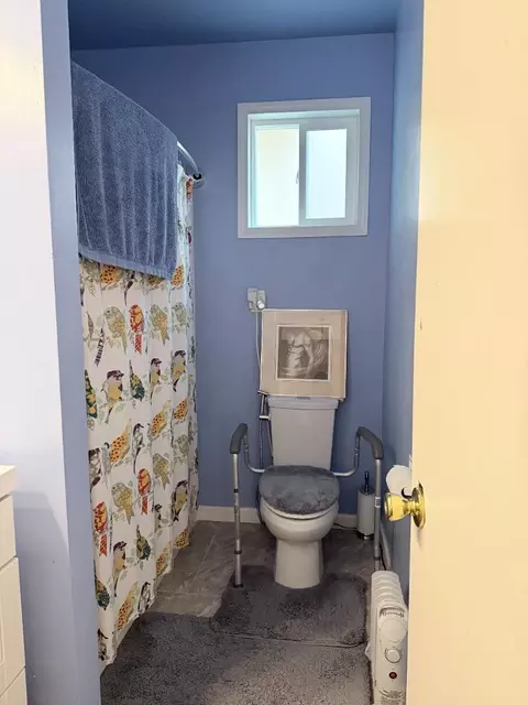 Bath - 247 Madrid St, San Francisco, CA 94112 photo 1 of 4