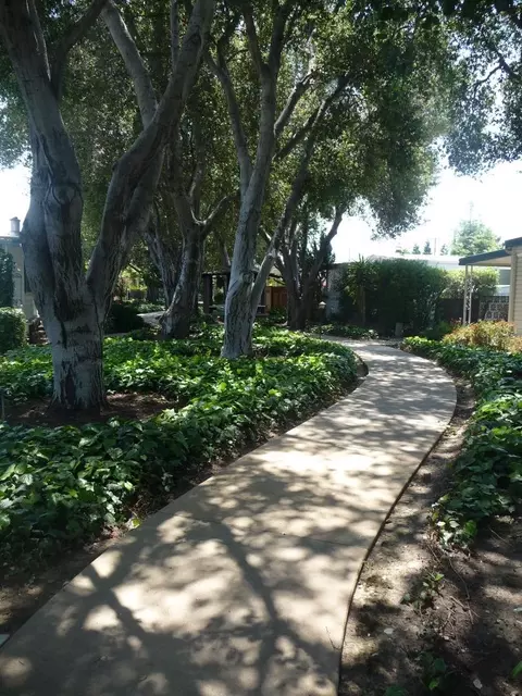 52 Palomar Real 52, Campbell, CA 95008 photo 35