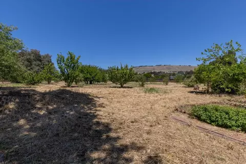 Exterior - 10346 New Ave, Gilroy, CA 95020 photo 9 of 10