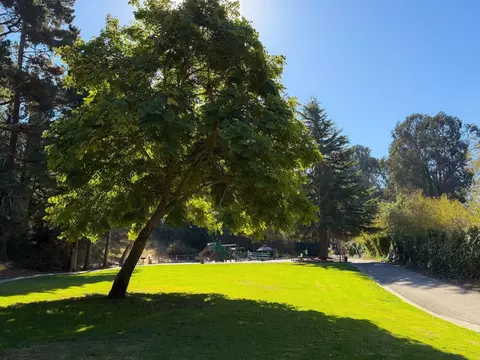 Other - 311 Baltusrol Dr, Aptos, CA 95003 photo 50 of 52
