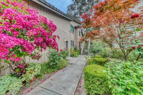 195 Del Monte Ln, Morgan Hill, CA 95037