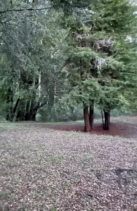 00 Long Branch Rd, Los Gatos, CA 95033