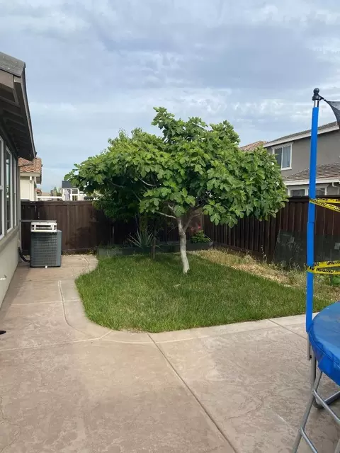 Exterior - 1878 Plumas Dr, Lathrop, CA 95330 photo 5 of 5