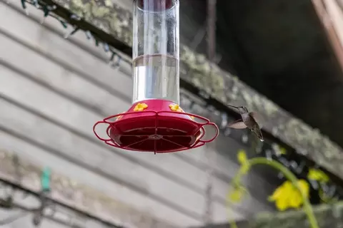 Other - 1560 Tindall Ranch Rd, Corralitos, CA 95076 photo 13 of 22