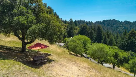 Other - 1560 Tindall Ranch Rd, Corralitos, CA 95076 photo 22 of 22