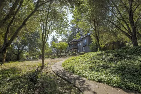 333 Walsh Rd, Atherton, CA 94027 photo 7