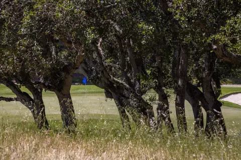 25520 Via Malpaso, Carmel, CA 93923 photo 2