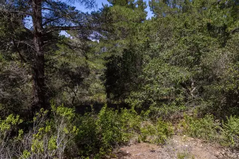 25520 Via Malpaso, Carmel, CA 93923 photo 17