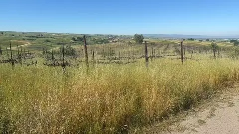 10011 Tesla Rd, Livermore, CA 94550 photo 4