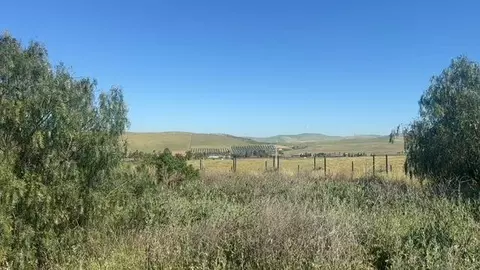 10011 Tesla Rd, Livermore, CA 94550 photo 7