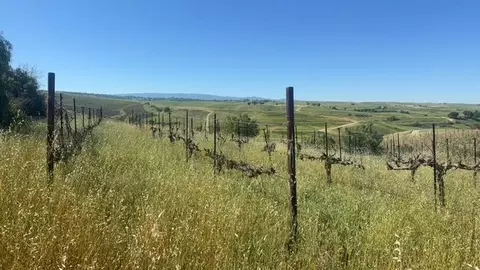 10011 Tesla Rd, Livermore, CA 94550 photo 6