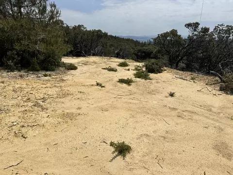 15950 Summit Rd, Watsonville, CA 95076 photo 14