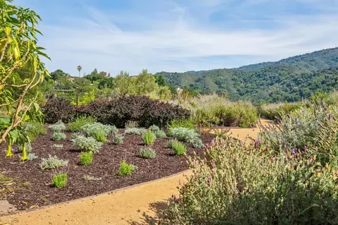 Exterior - 27690 Central Dr, Los Altos Hills, CA 94022 photo 20 of 22