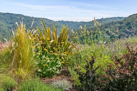 Exterior - 27690 Central Dr, Los Altos Hills, CA 94022 photo 17 of 22