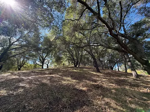 1920 Mantelli Dr, Gilroy, CA 95020 photo 9