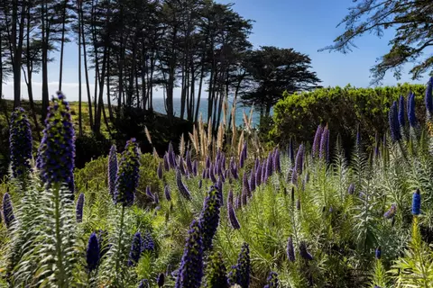 View/Area - 100 Seascape Resort Dr, Aptos, CA 95003 photo 2 of 3