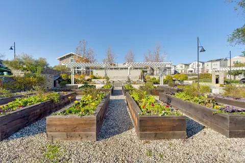 View/Area - 6914 Geyserville St, Dublin, CA 94568 photo 1 of 3