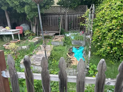 Exterior - 1405 Central Ave, Alameda, CA 94501 photo 3 of 4