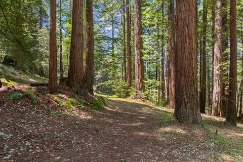 0000 Native Sons Rd, Woodside, CA 94062 photo 14