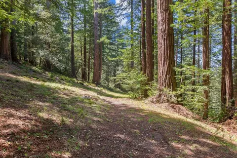 0000 Native Sons Rd, Woodside, CA 94062 photo 15