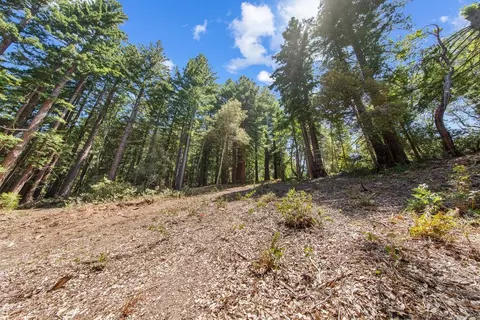 0000 Native Sons Rd, Woodside, CA 94062 photo 23