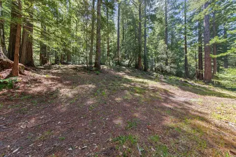 0000 Native Sons Rd, Woodside, CA 94062 photo 12