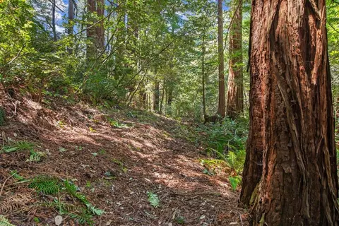 0000 Native Sons Rd, Woodside, CA 94062 photo 16