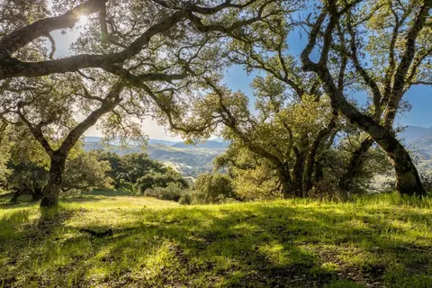 52 Chamisal Pass, Carmel, CA 93923 photo 2