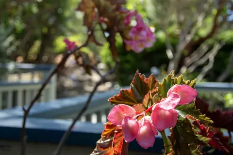Other - 1430 Hidden Valley Rd, Soquel, CA 95073 photo 6 of 10