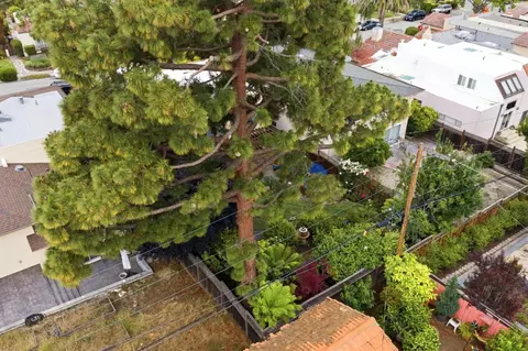 View/Area - 231 Barclay Ave, Millbrae, CA 94030 photo 11 of 12