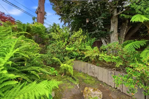 Exterior - 231 Barclay Ave, Millbrae, CA 94030 photo 25 of 38