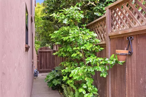 Exterior - 231 Barclay Ave, Millbrae, CA 94030 photo 22 of 38