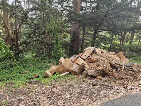 Verde Rd, Half Moon Bay, CA 94019 photo 6