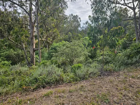 Verde Rd, Half Moon Bay, CA 94019 photo 3