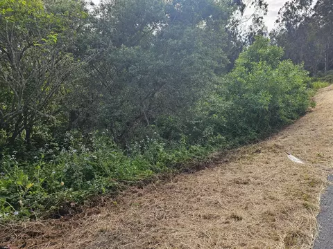 Verde Rd, Half Moon Bay, CA 94019 photo 2