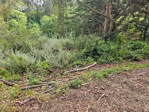 Verde Rd, Half Moon Bay, CA 94019