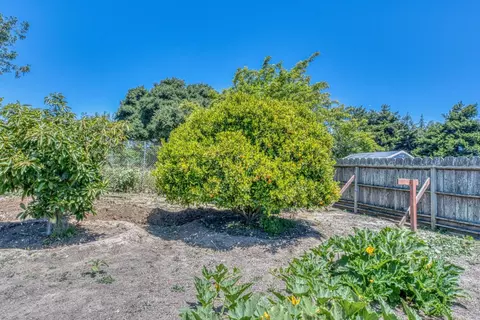 Exterior - 206 Cornwall St, Salinas, CA 93906 photo 9 of 9