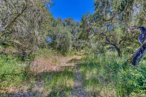San Benancio Rd, Salinas, CA 93908 photo 21