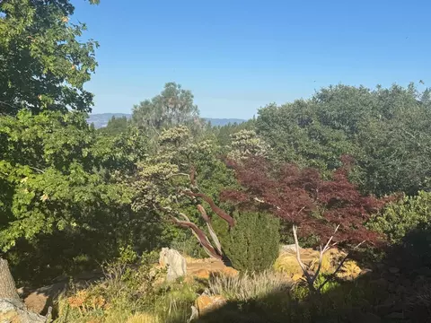 Exterior - 2251 Folendorf Rd, Murphys, CA 95247 photo 6 of 12