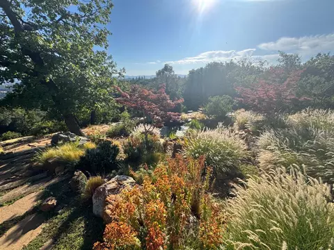 View/Area - 2251 Folendorf Rd, Murphys, CA 95247 photo 3 of 5