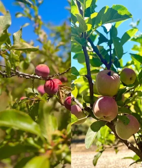 Other - 110 Via Venito, Corralitos, CA 95076 photo 1 of 11
