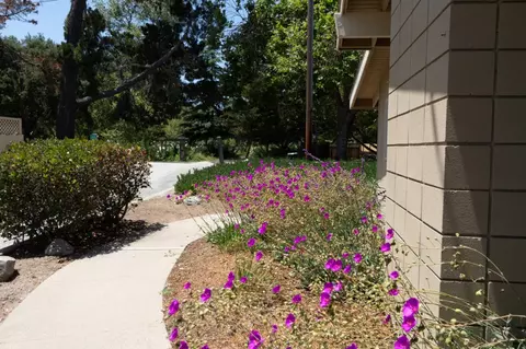 Other - 181 Hacienda Carmel, Carmel Valley, CA 93923 photo 5 of 5